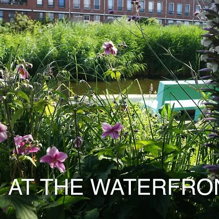 Room With A Few Bed & Breakfast